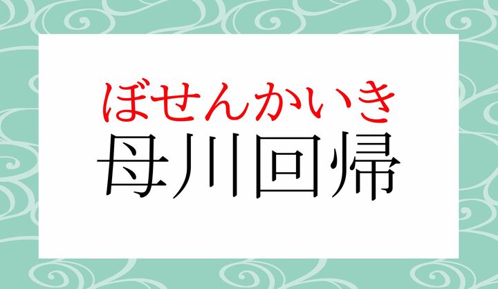 サケやマスなどの溯河魚（そかぎょ）の生まれた川を「母川（ぼせん）」と言います。