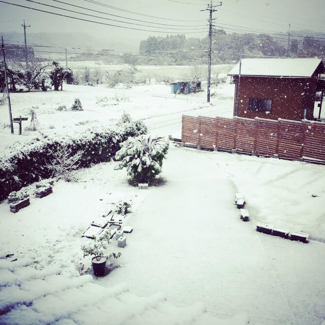 セカンドハウス近くの田園に降る雪