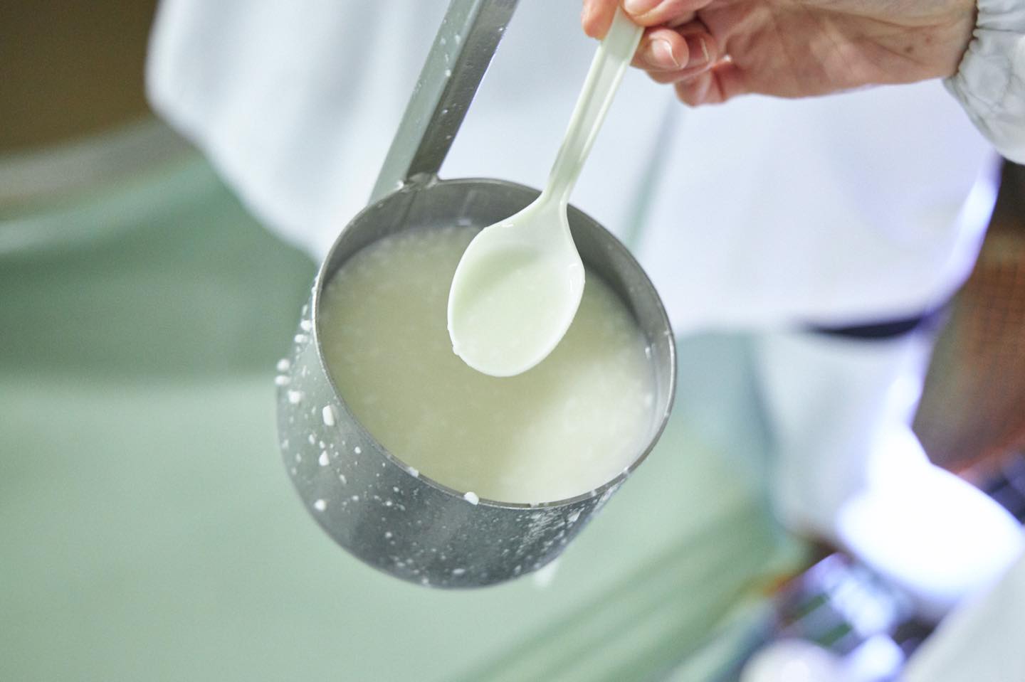 できたての酒母を味見。甘酸っぱいヨーグルトのような味わい。