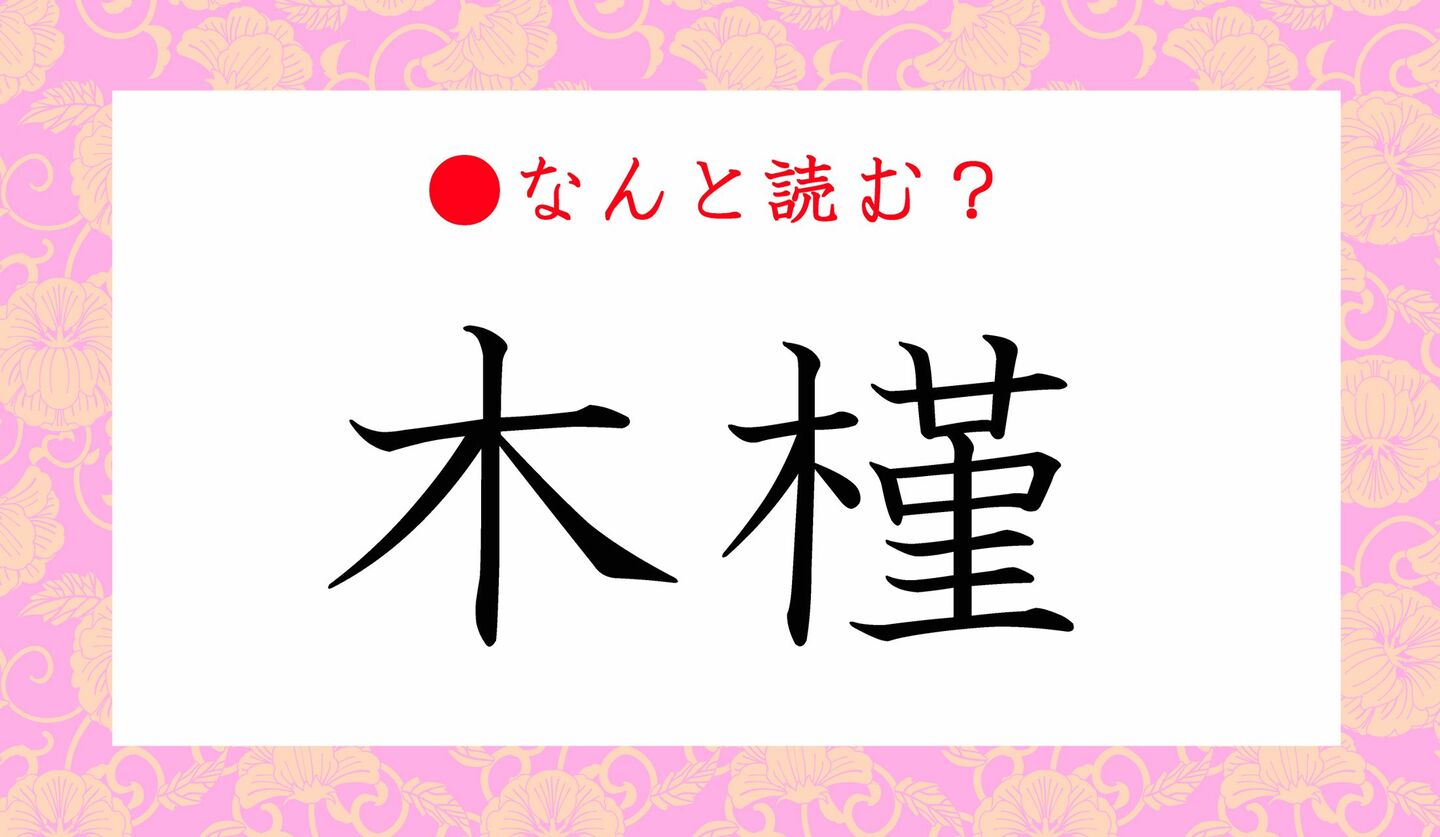 日本語クイズ　出題画像　難読漢字　「木槿」なんと読む？