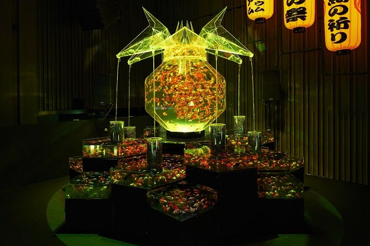 不思議な妖艶さを醸し出す「超・花魁」は、約3,000匹の金魚が舞い泳ぐアートアクアリウム史上最大の作品。