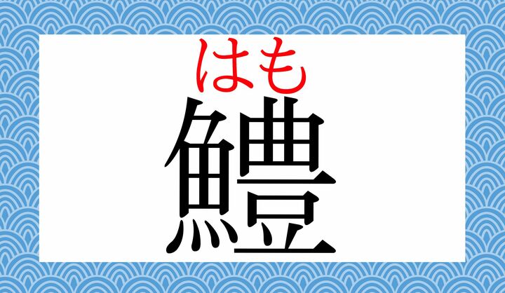 関西や九州でよく食される魚です。