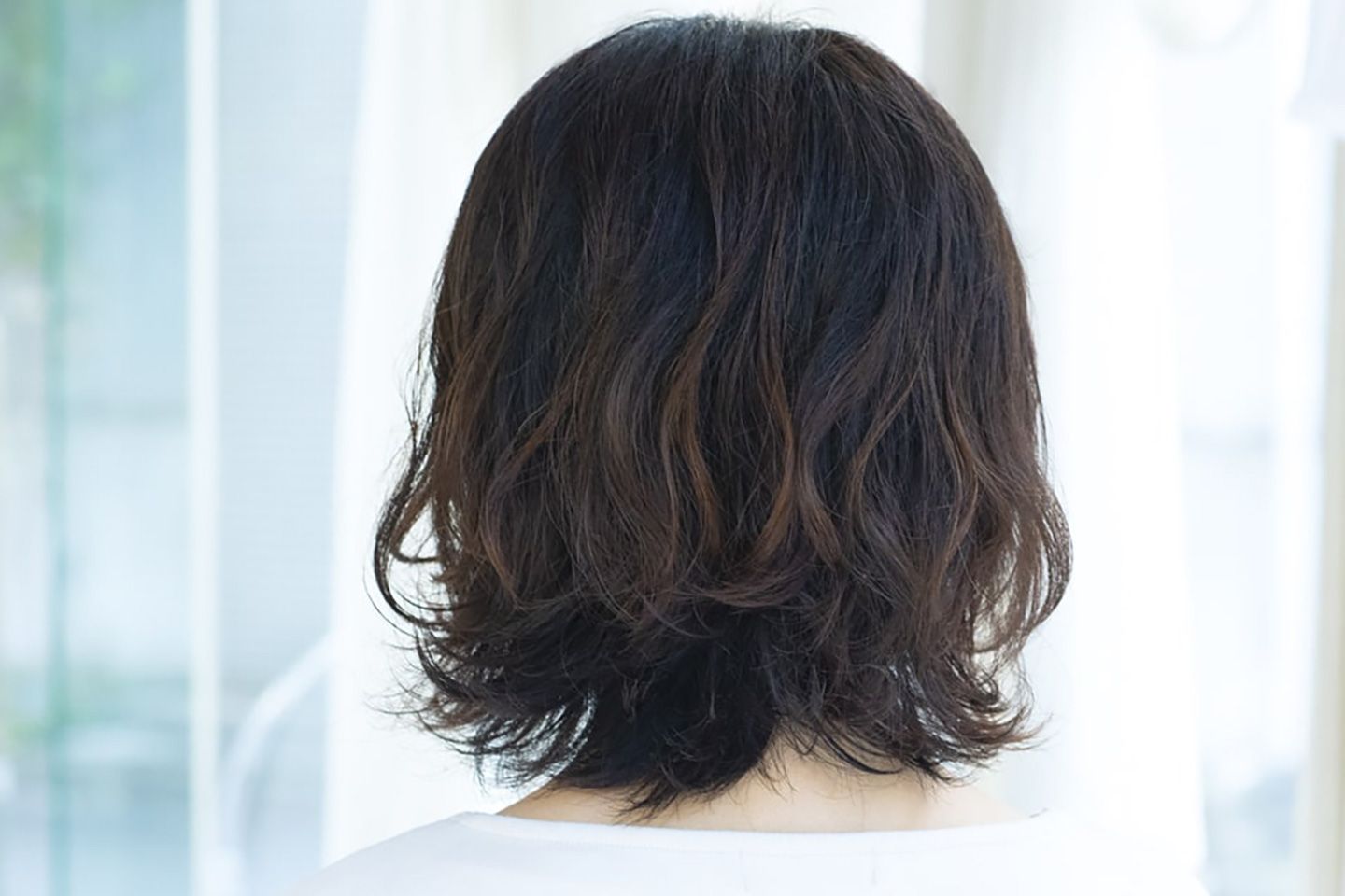 ボブ_3