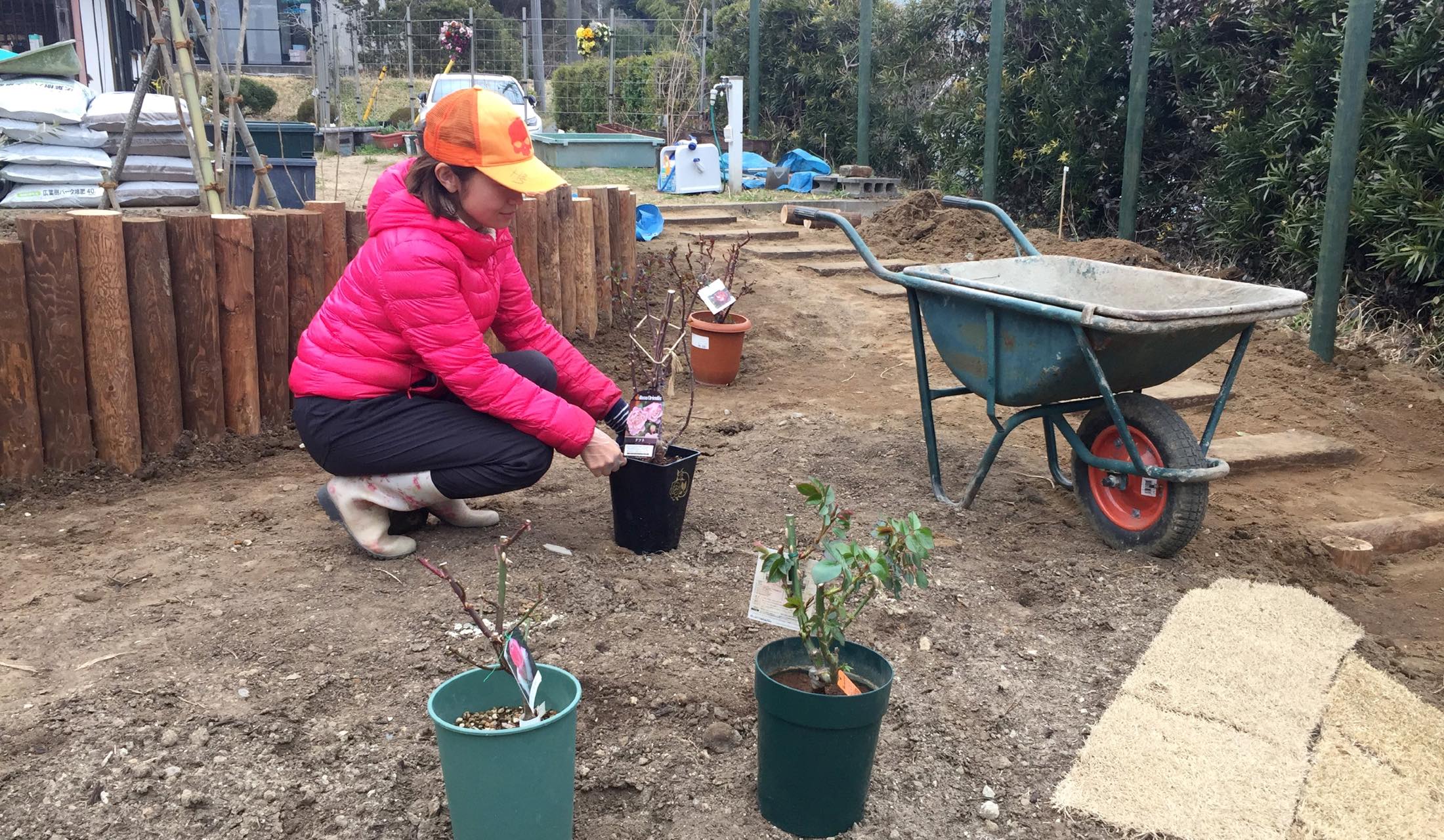 植樹中の堀江さん