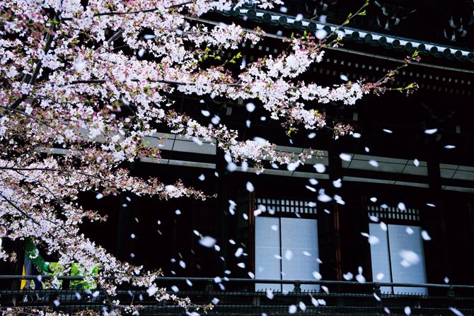 立本寺 © 水野克比古