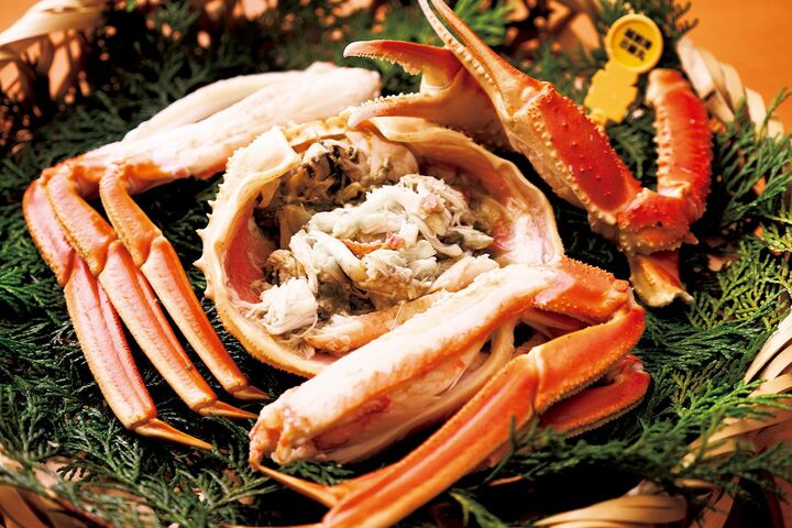 国内旅行_7,旅行,温泉_7,温泉