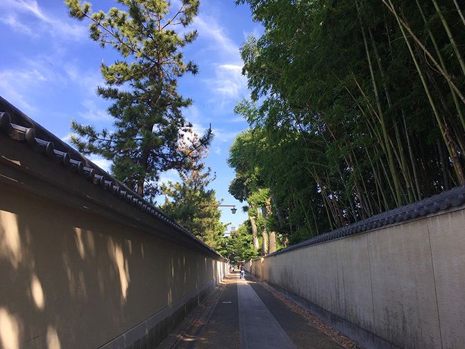 石堂橋 白つぐ近辺