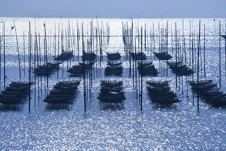 海苔の名産地から選ぶ!