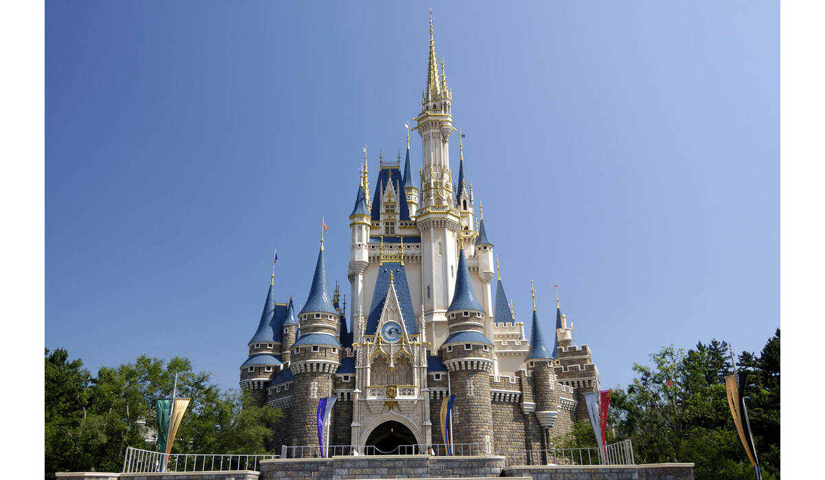 ワールドディズニー 定価120万円