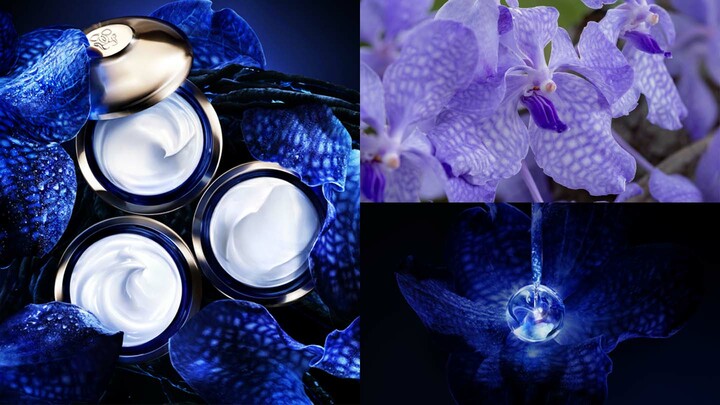 ゲランの「オーキデ アンペリアル ザ ロンジェビティ ライト クリーム」