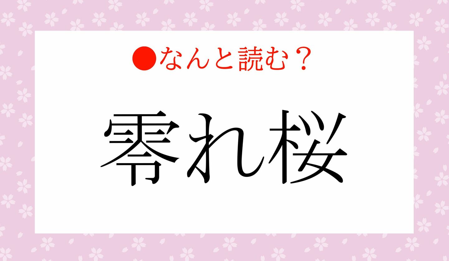 日本語クイズ　出題画像　難読漢字　「零れ桜」なんと読む？