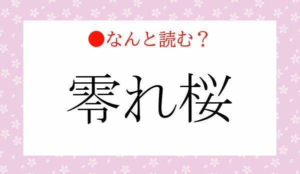 「れいれさくら」ではないですよ！「零れ桜」…なんと読む？