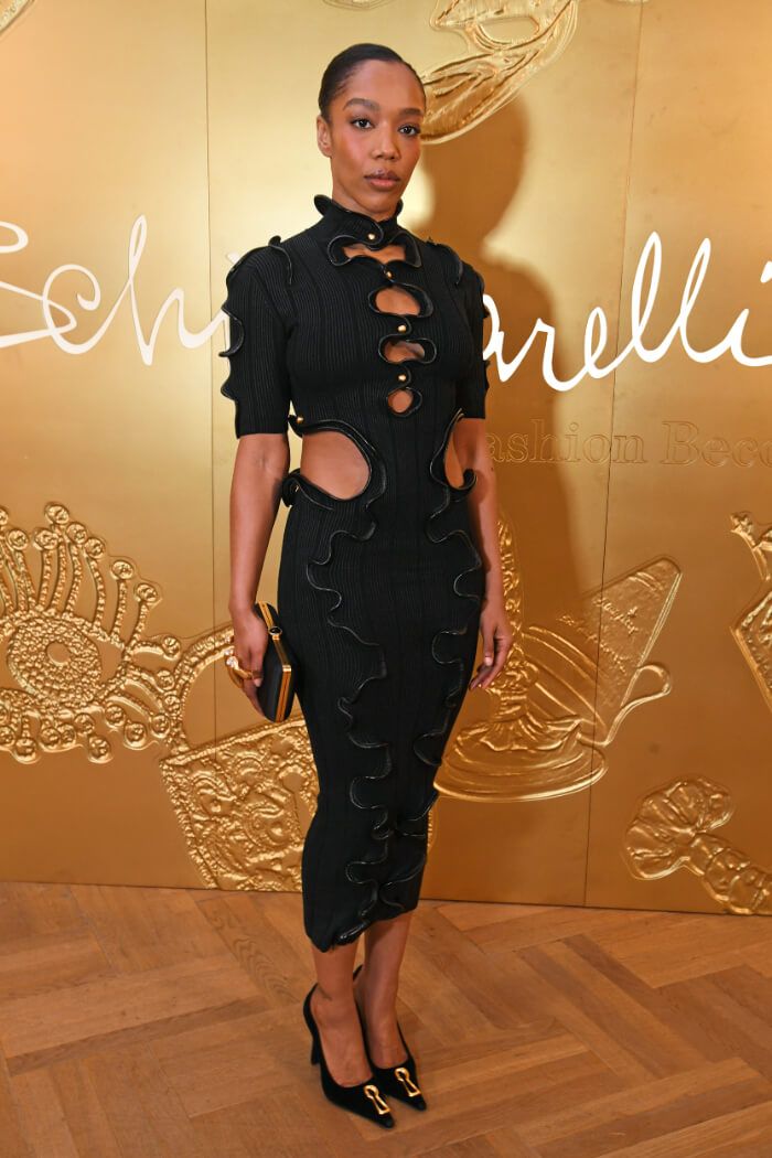 2026年3月24日、ロンドンで開催された「Schiaparelli：Fashion Becomes Art」を記念するガラディナー。