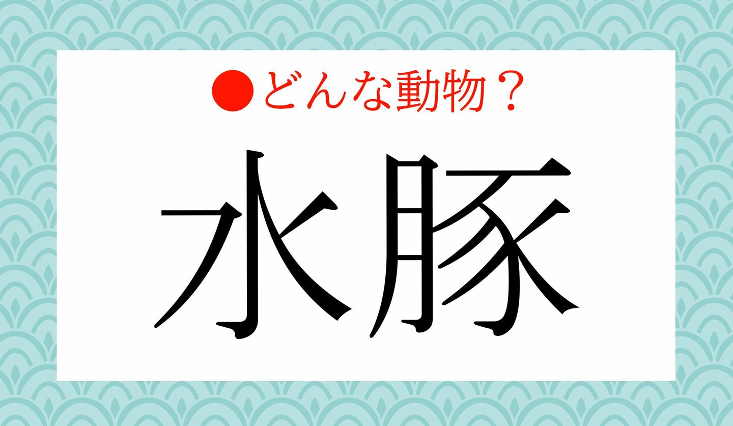 日本語クイズ　出題画像　「水豚」どんな動物？