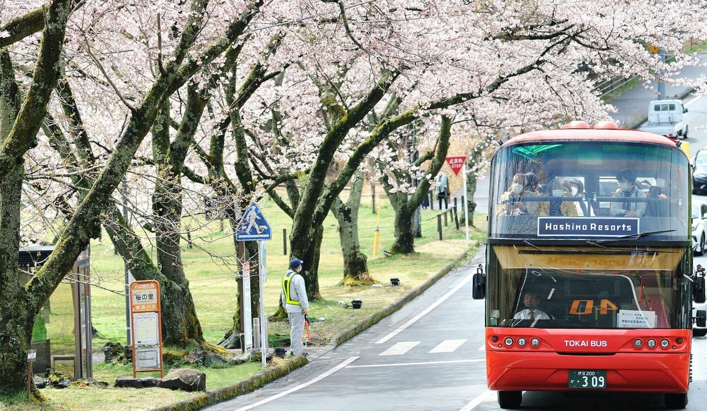 「界伊東」「界 アンジン」にて開催される「桜オープンバスツアー」