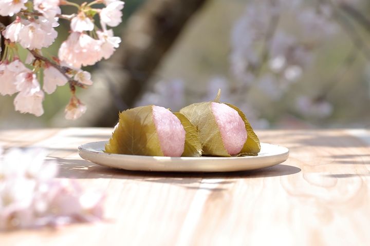 和文化_7,スイーツ_7,手土産_7,プレゼント_7