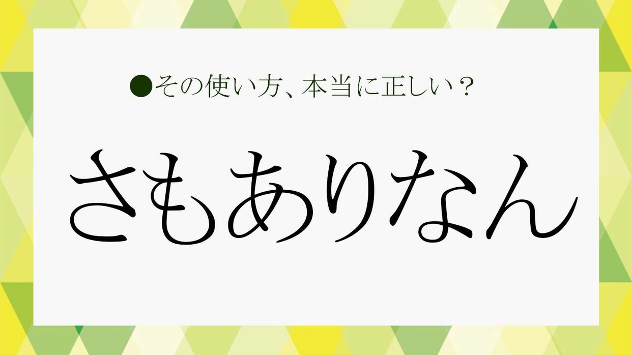 さもありなん」の意味は？方言なの？類語や言い換え表現、例文で使い方