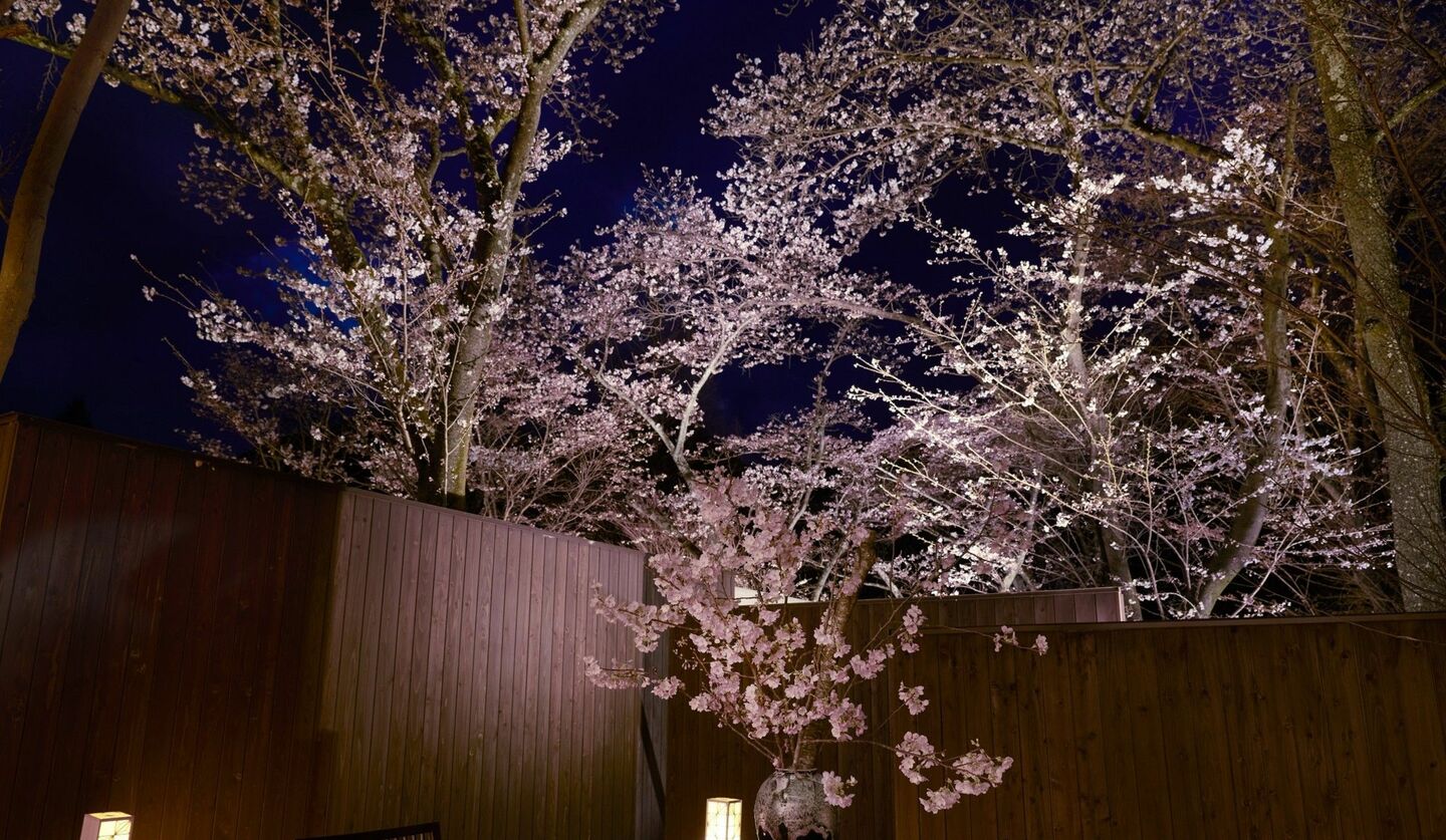 界 長門の「夜桜川床花見」の画像