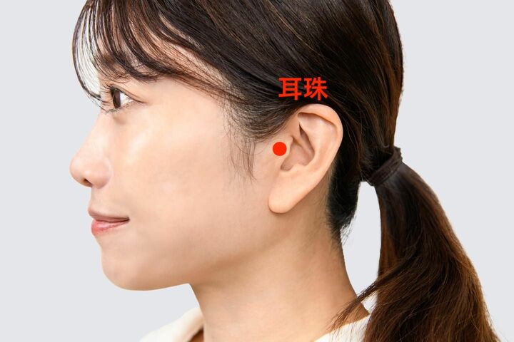 耳珠（じじゅ）の位置を確認する