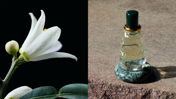 ボッテガ・ヴェネタのフレグランス