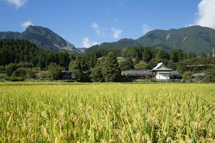 のどかな田園風景に佇む「旅館 みな和」。