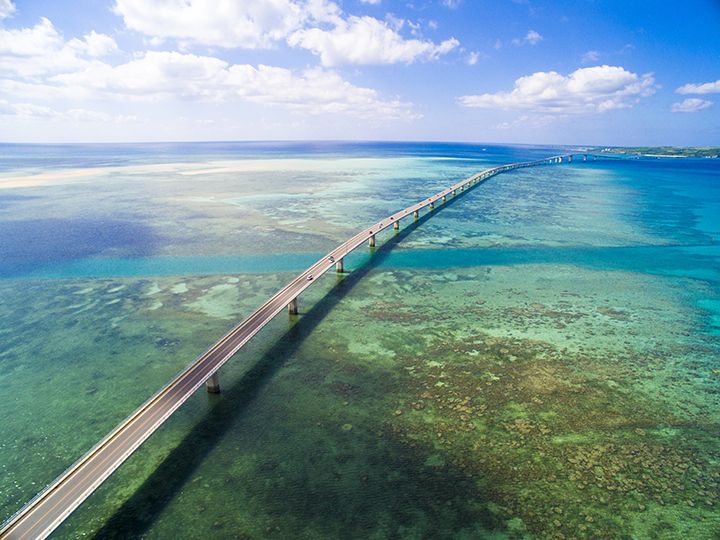 橋の上からはサンゴ礁など海中の様子を見ることができる