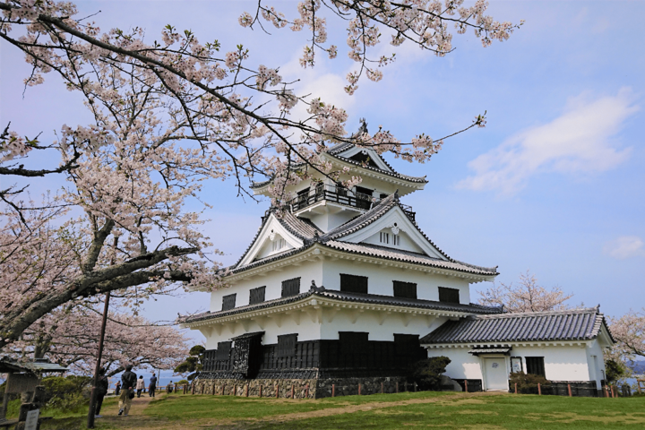 春の館山城