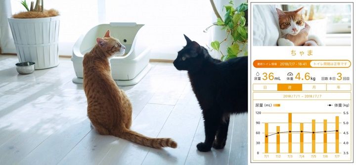 おトイレしながら、体重、排出量、回数などのヘルスチェックデータが採取できる。猫専用の「スマートトイレ」