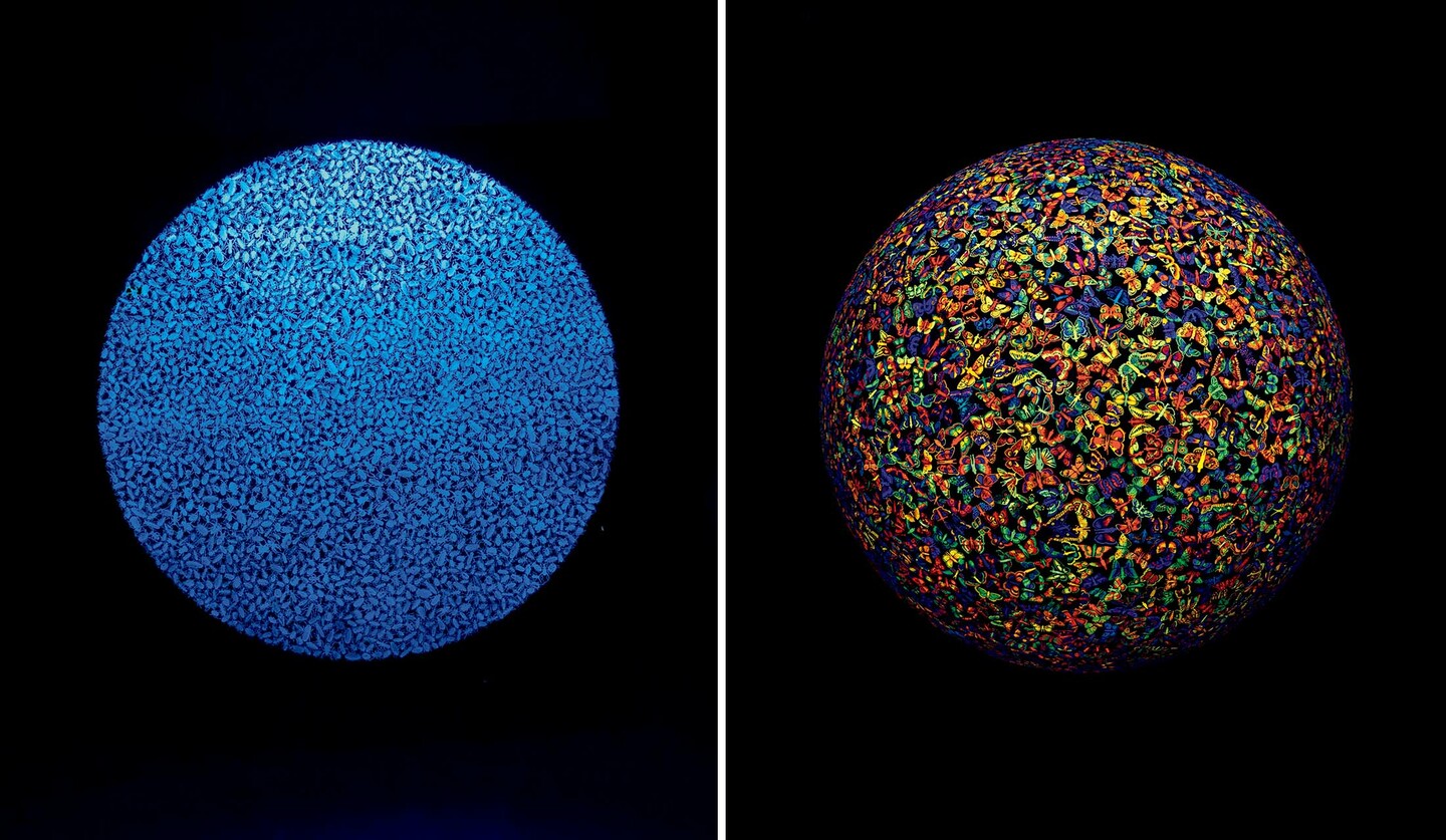 Zadok Ben-David《The Other Side of Midnight》