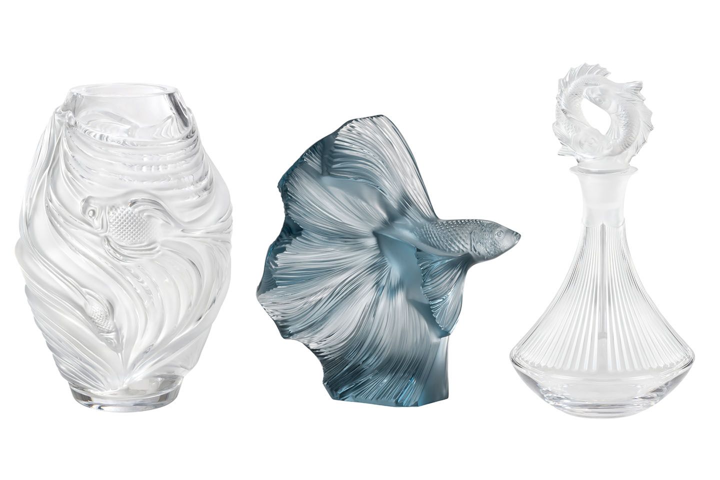 「AQUATIQUE COLLECTION(アクアティック コレクション)」