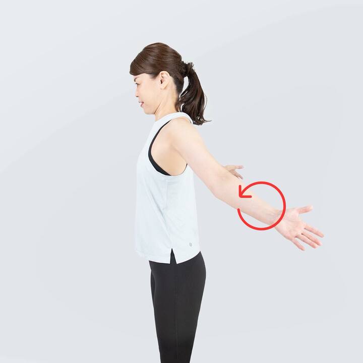 腕の付け根から回すように、腕を回転させる
