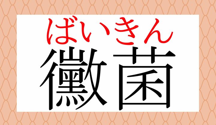 おなじみの言葉ですが、正解できましたか？