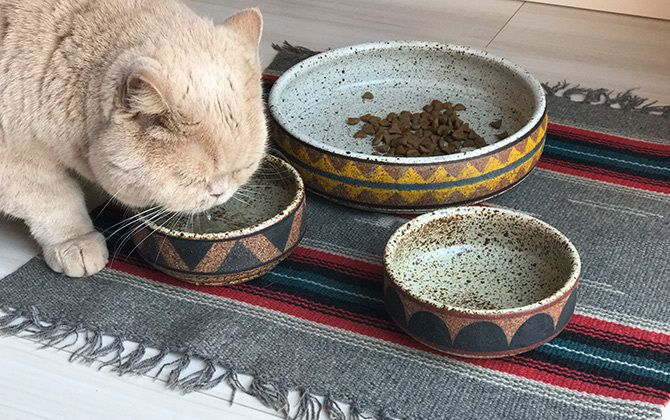 Kat&Rogerの器を食器に
