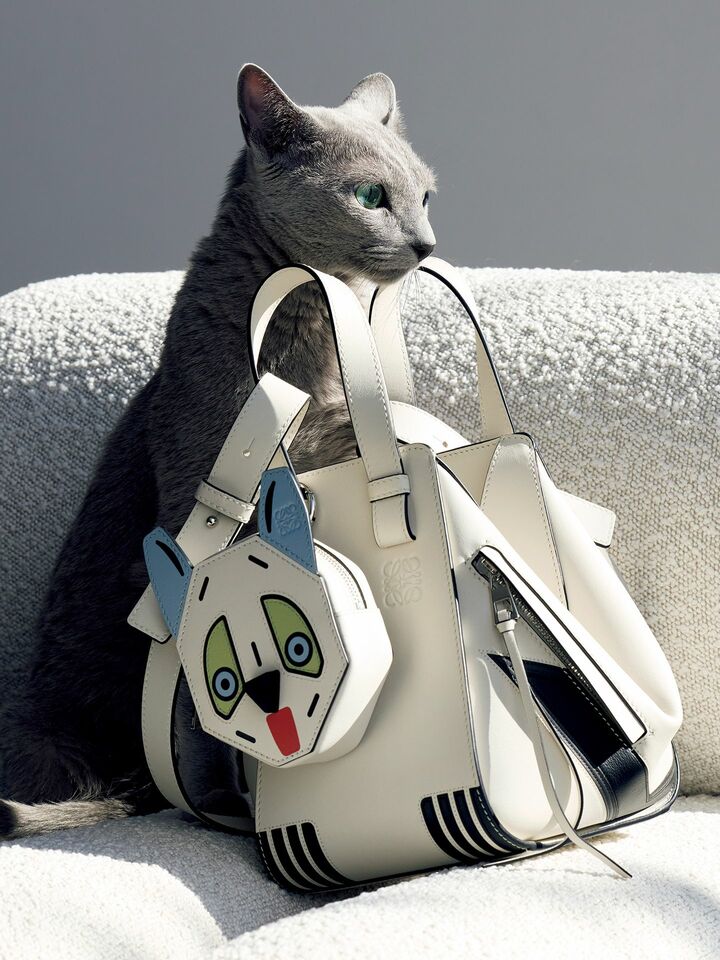 ロエベのバッグ『フューチャリスト キャット ハンモックバッグ コンパクト』と猫