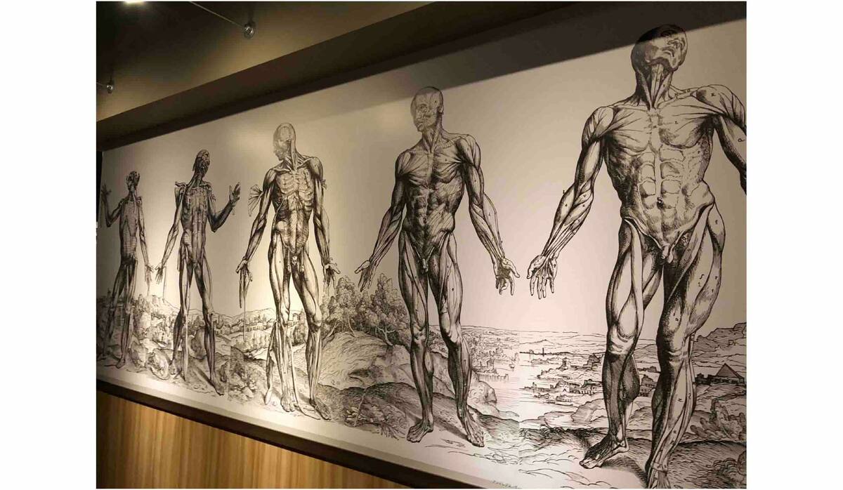 自分の体が愛しくなる！驚き満載の「人体ー神秘への挑戦ー」展＠上野へ