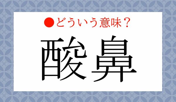 「酸鼻(さんび)」ってどういう意味?酸っぱい鼻…?