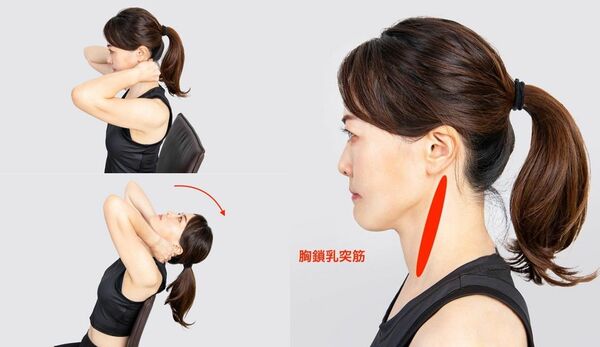 胸鎖乳突筋のほぐし方|硬くなった首の筋肉をゆるめるセルフケア