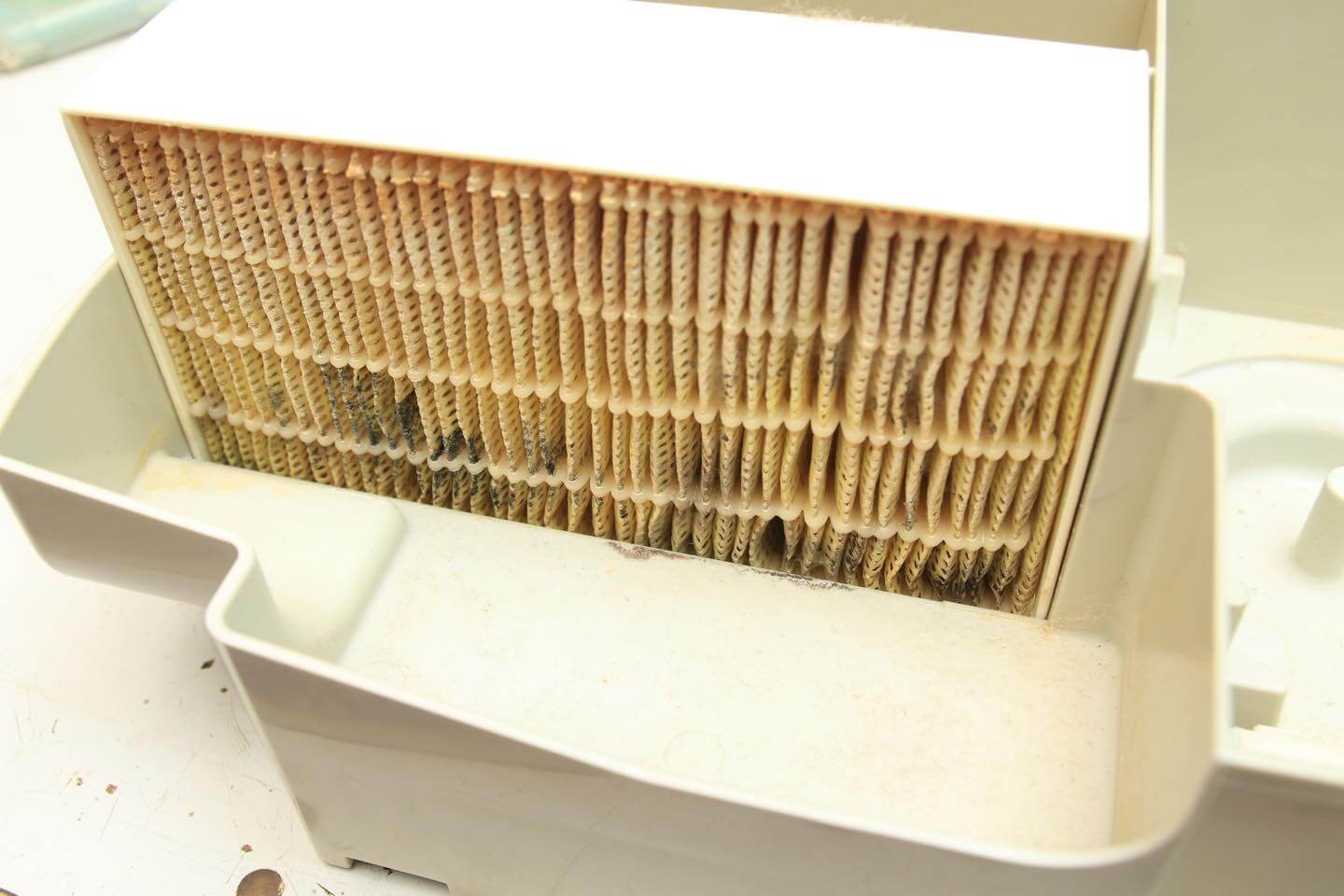 このようなカビの生えたフィルタは水蒸気とともに雑菌を放出しているので、必ず掃除してください