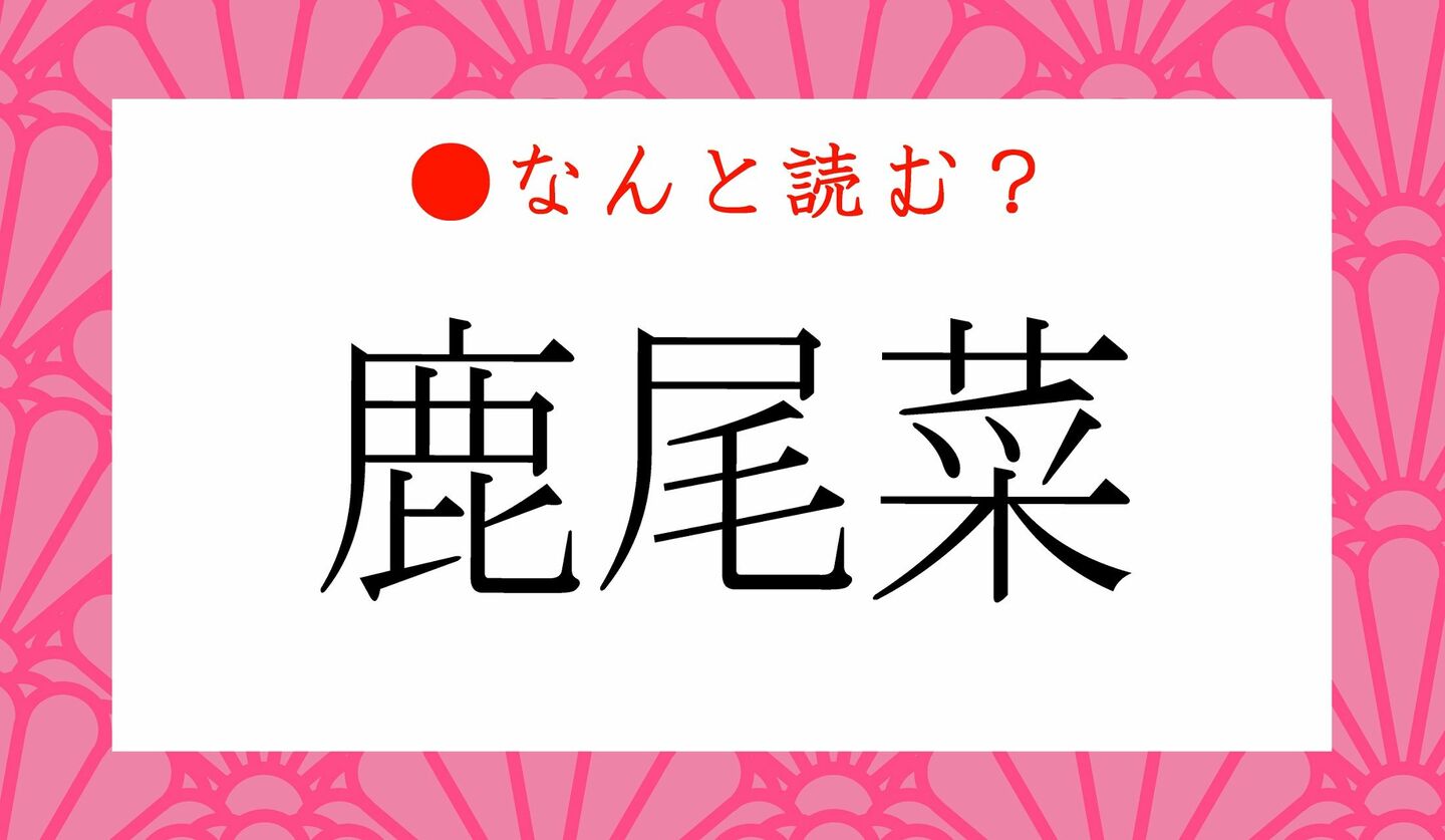 日本語クイズ　出題画像　難読漢字　「鹿尾菜」なんと読む？