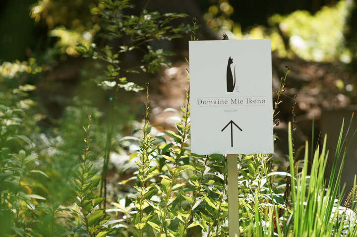 畑の一般公開はしていないものの、年に数回イベントを開催。公式HPやSNSで確認を