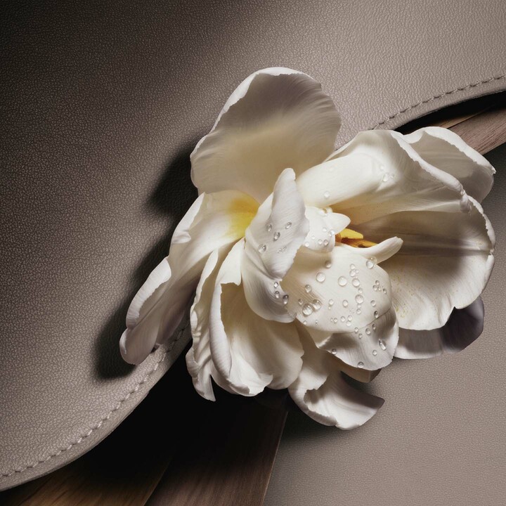 ディオールのフレグランスコレクション「ラ コレクシオン プリヴェ」から登場する、新作「キュイール サドル」の香りのイメージ