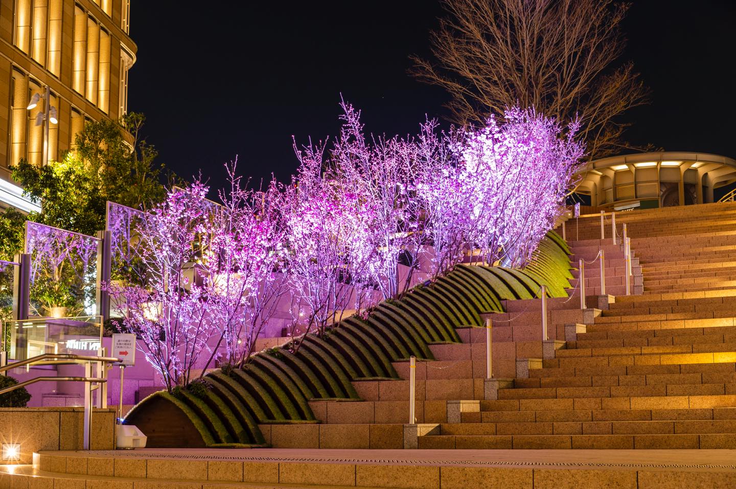「Flower GATE -WAVE&RONDE」