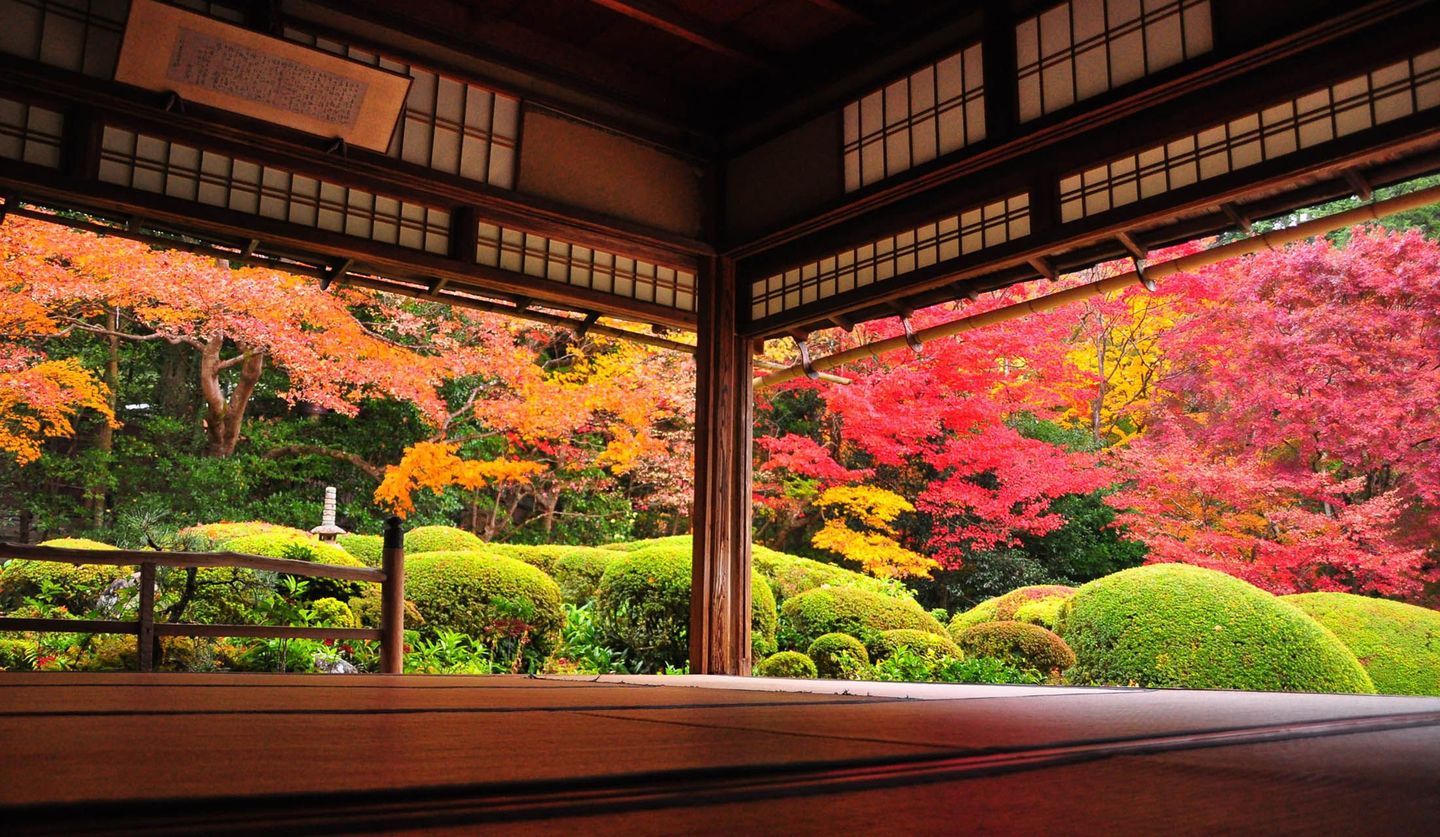 早朝や夜間の紅葉を愛でる 京都ブライトンホテルの 秋の貸切プラン に注目 Precious Jp プレシャス