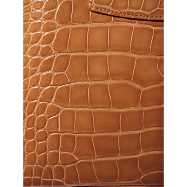 アリゲータークロコダイルと比べ、縦長のすっきりとした斑をもち、シャープな印象。斑の中にピット（穿孔）がないのも特徴で、好みの分かれるところ。