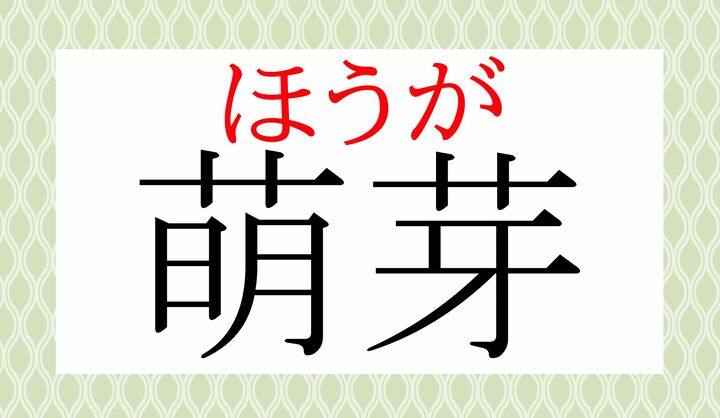 「萌」という字の音読みは「ホウ」です。