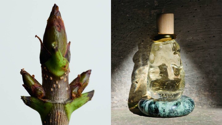 ボッテガ・ヴェネタのフレグランス「アクア・サーレ」