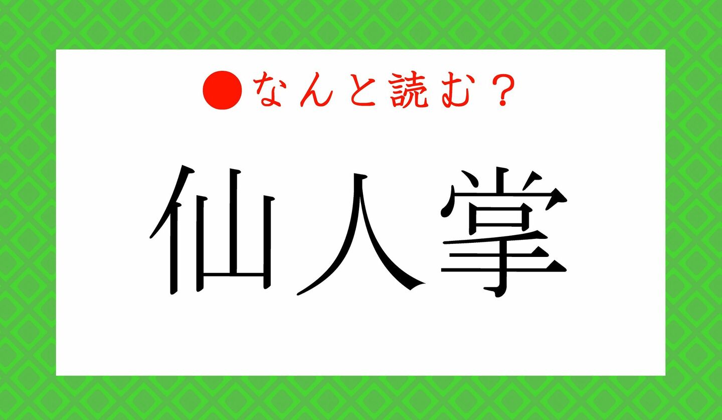 日本語クイズ　出題画像　難読漢字　「仙人掌」なんと読む？