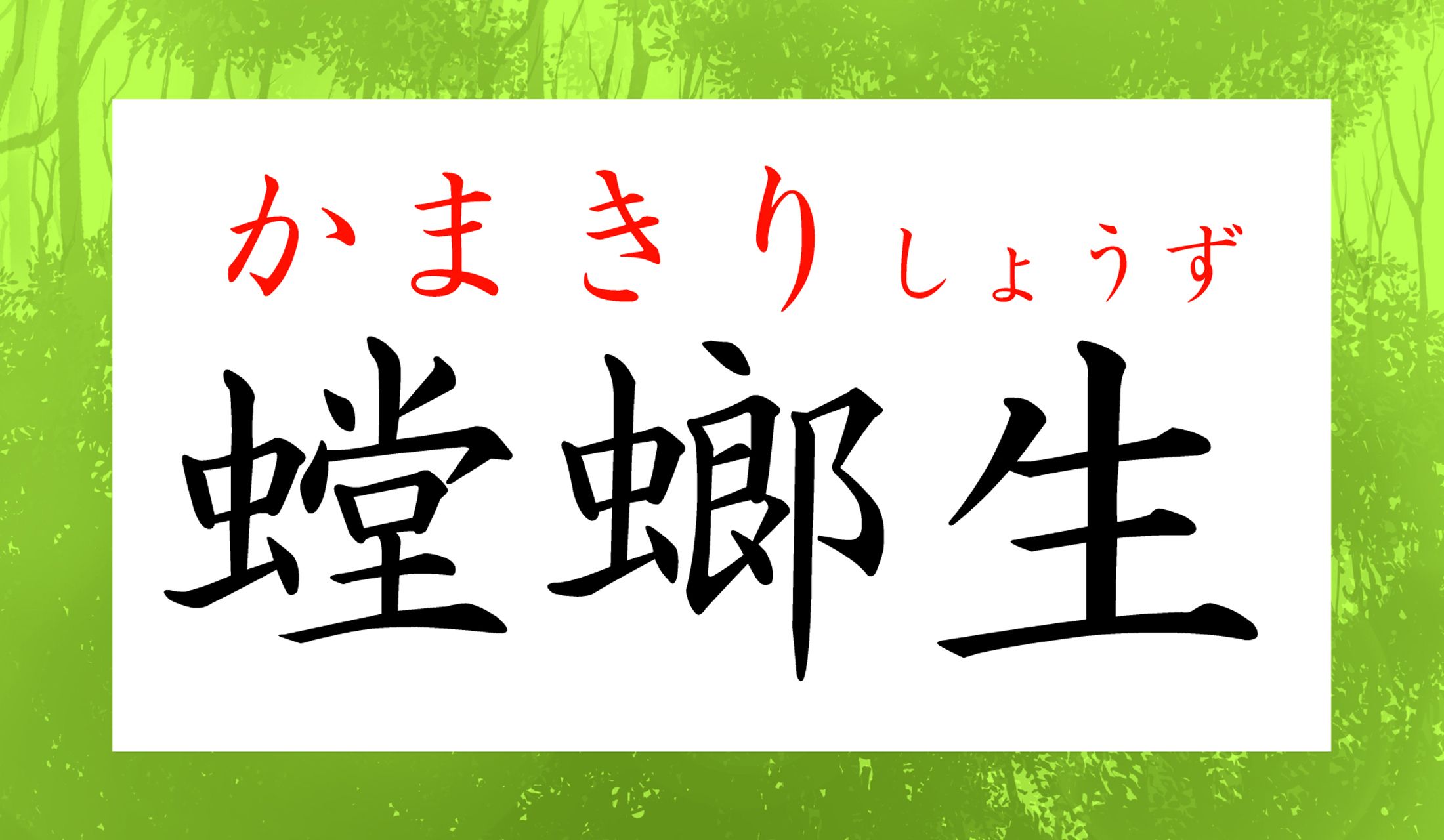 螳螂が孵化するころ、という意味です。