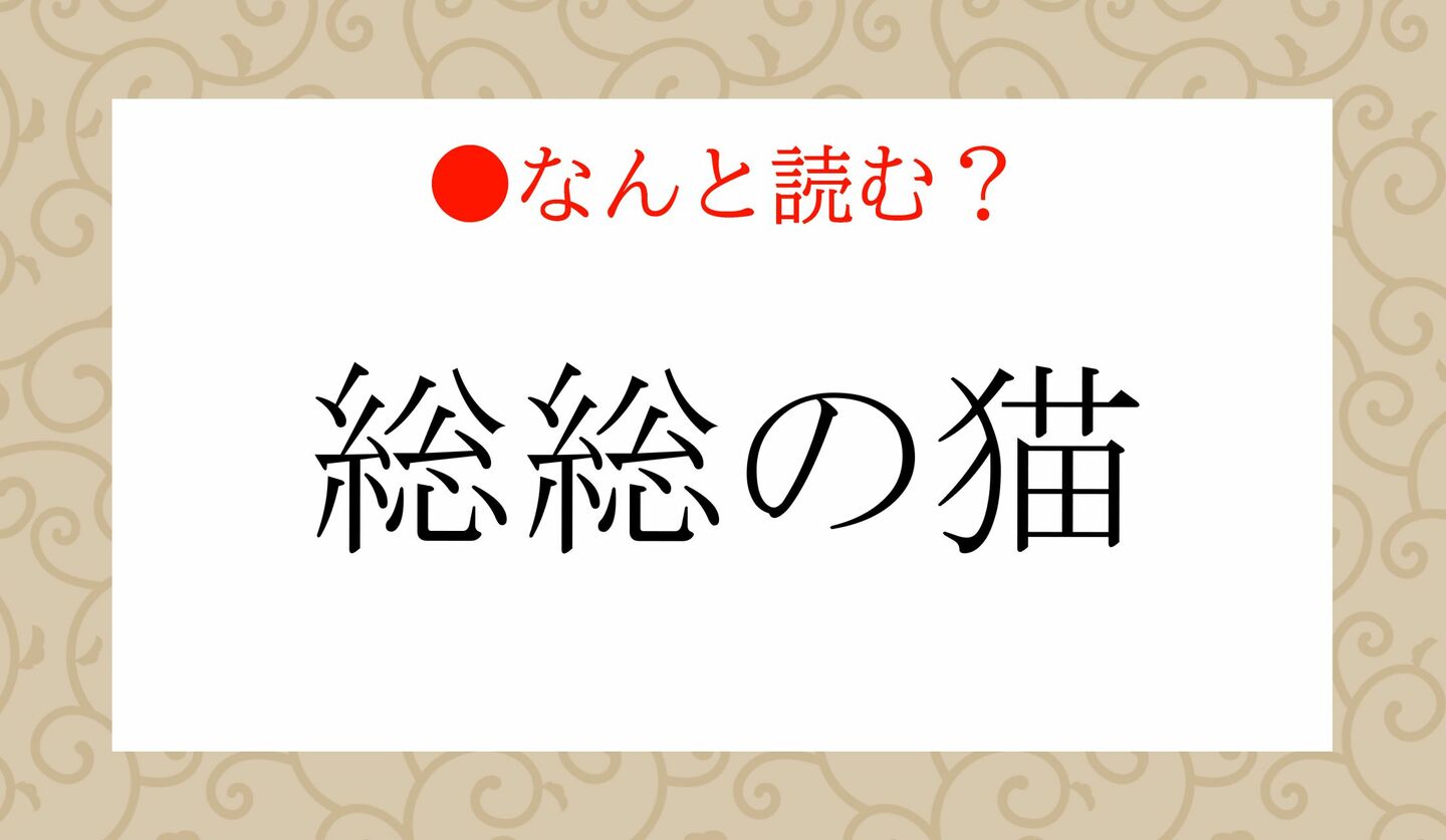 日本語クイズ　出題画像　難読漢字　「総総の猫」なんと読む？