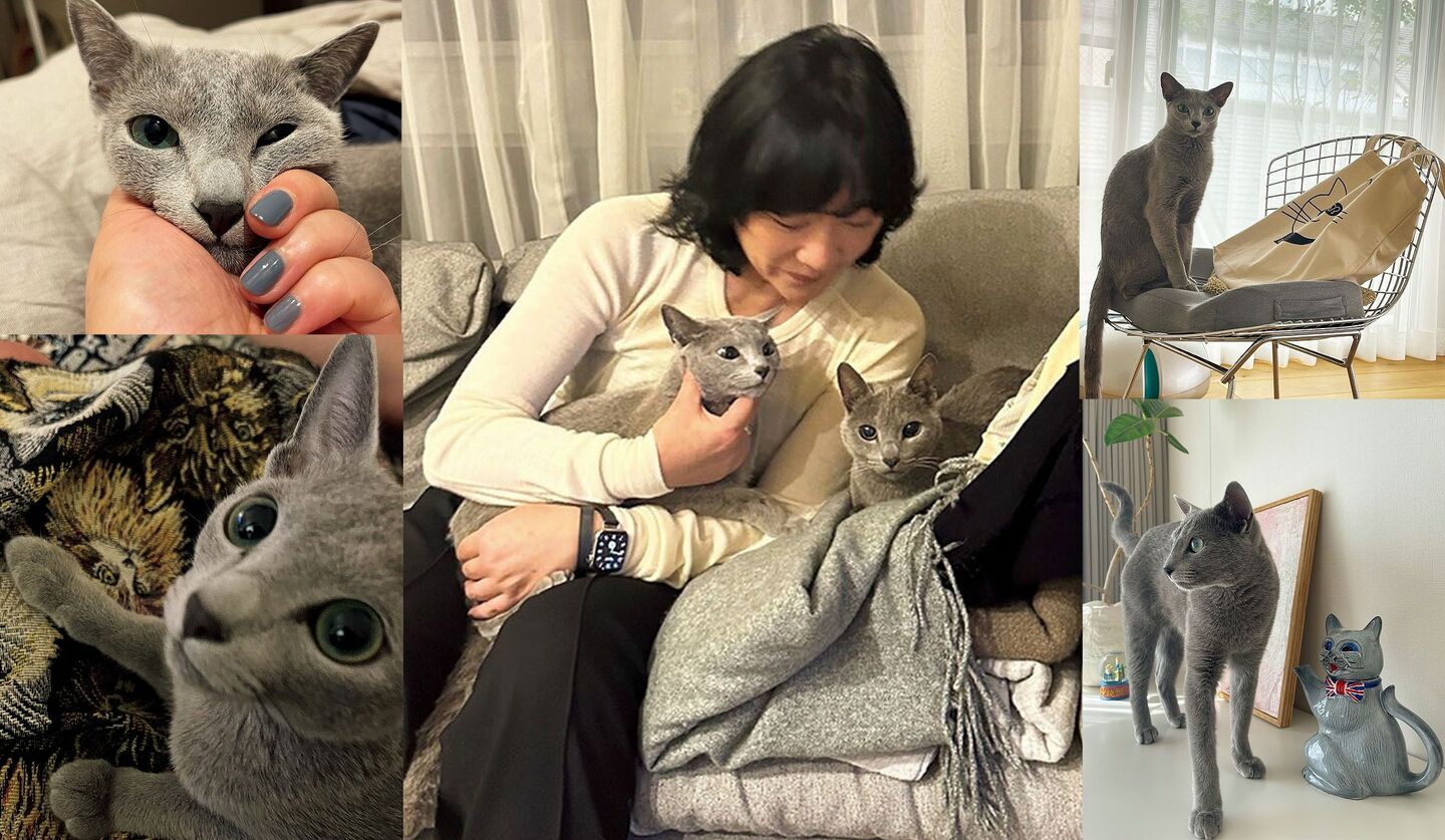 「uka」代表、ネイリストの渡邉季穂さんとロシアンブルーのボーテくんとPJWくん 